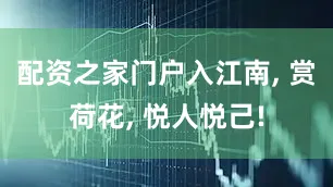配资之家门户入江南, 赏荷花, 悦人悦己!