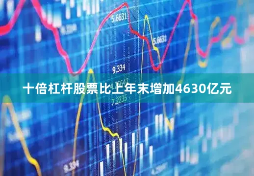 十倍杠杆股票比上年末增加4630亿元