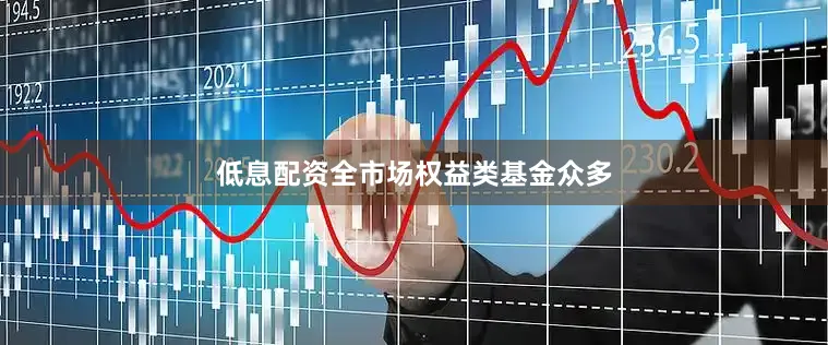 低息配资全市场权益类基金众多