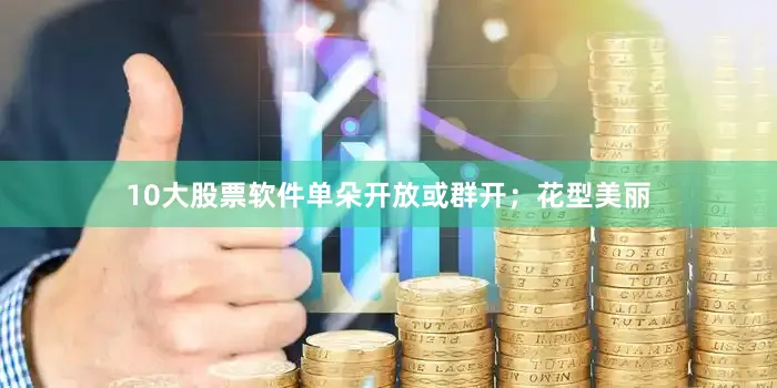 10大股票软件单朵开放或群开；花型美丽